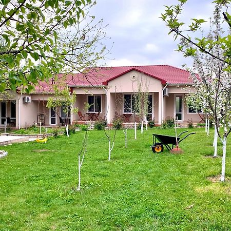 Cozy Family Cottages Vendam Esterno foto