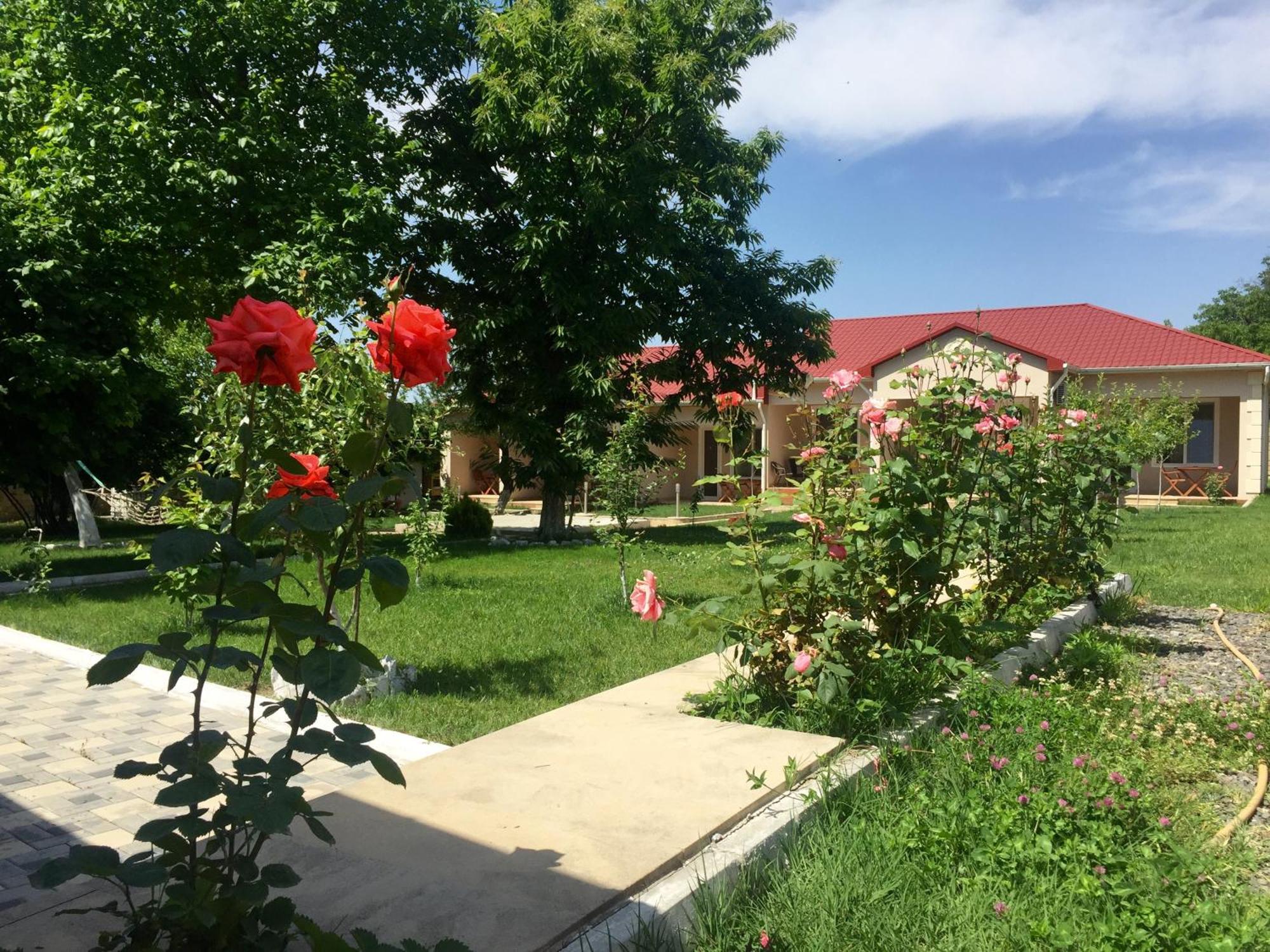 Cozy Family Cottages Vendam Esterno foto