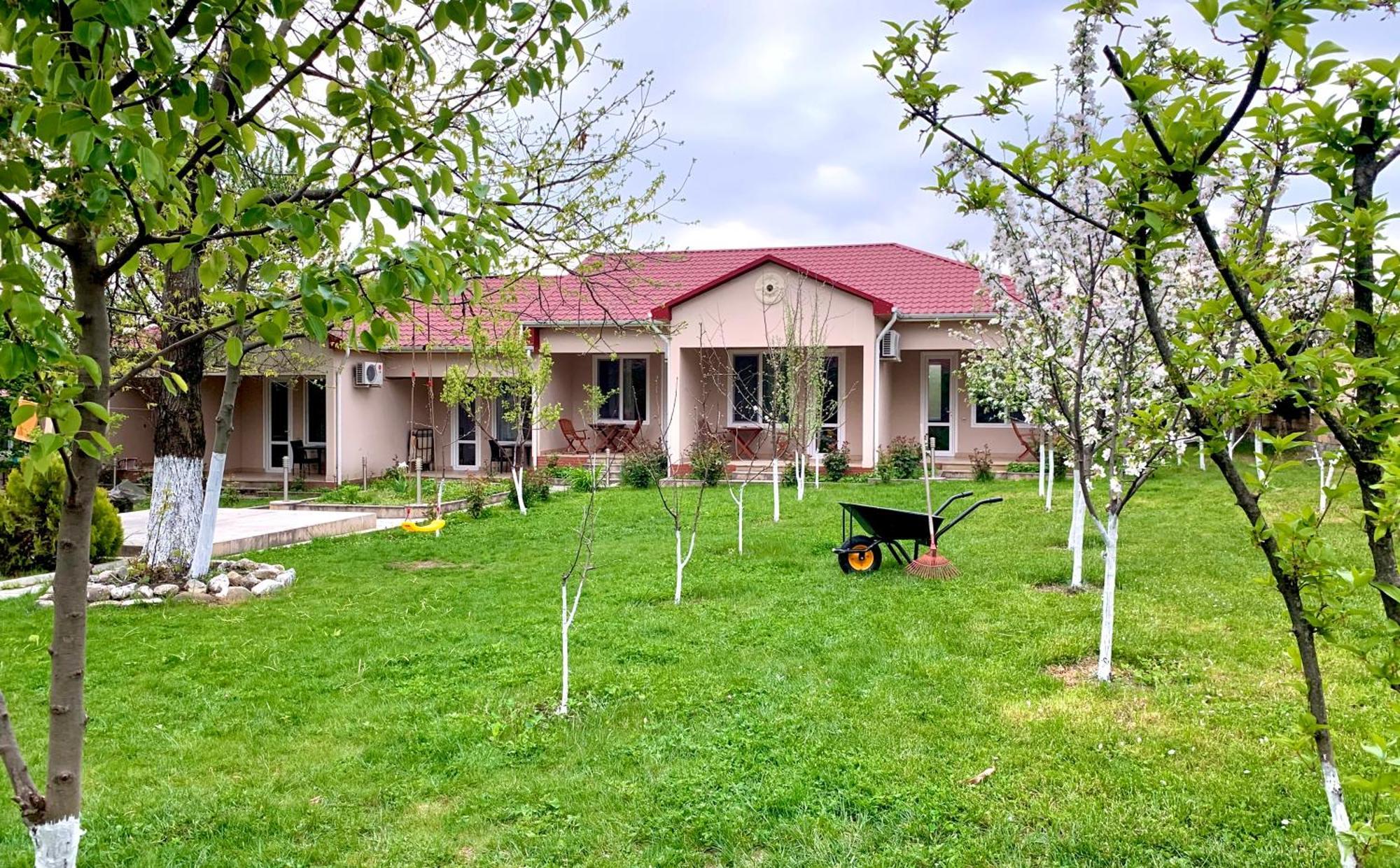 Cozy Family Cottages Vendam Esterno foto